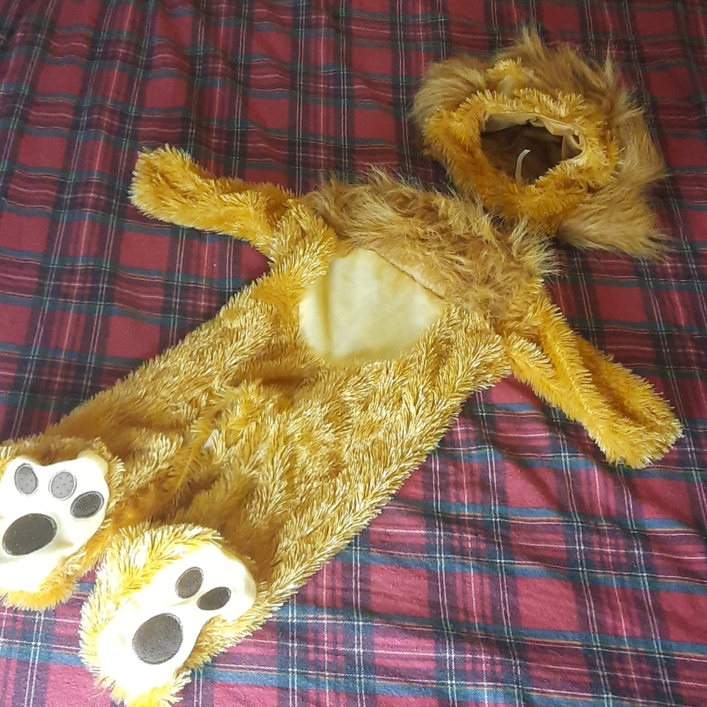 Like new lion costume size 12 to 18 mnths